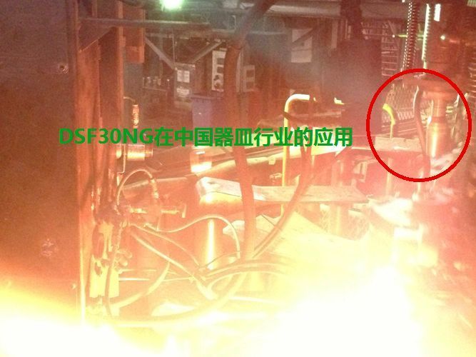 DSF30NG , DSF34NG�ڲ����ИI